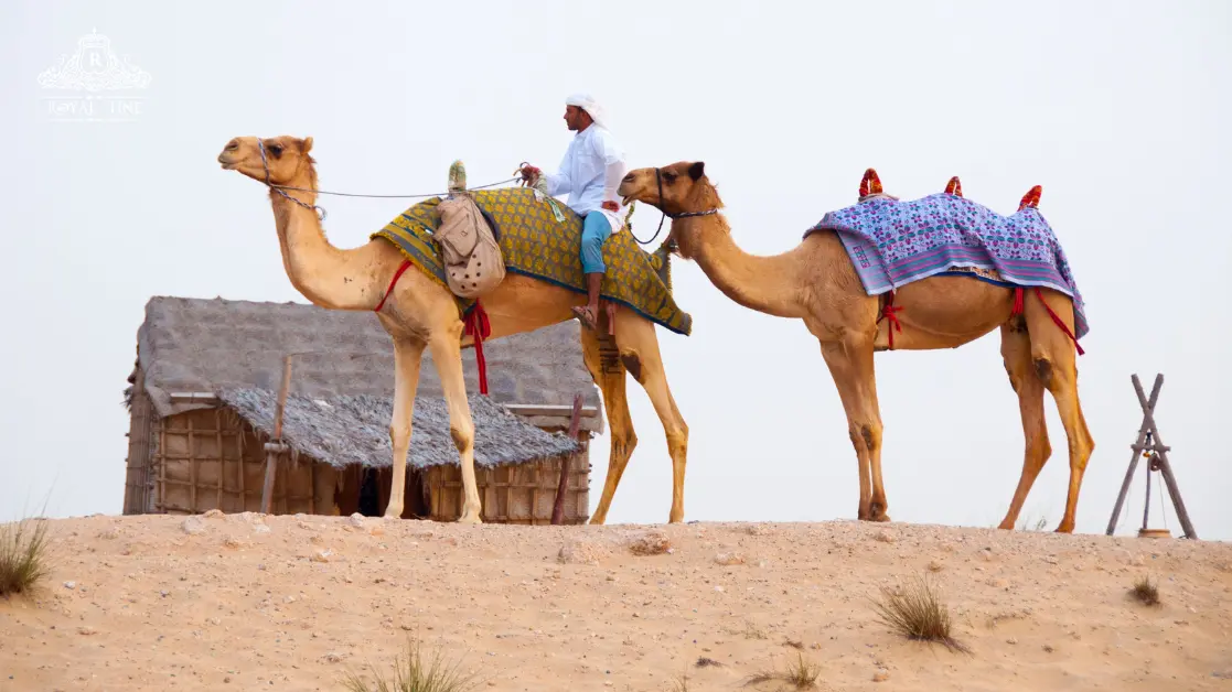 Why Dubai Desert Tours Are a Must in 2025?