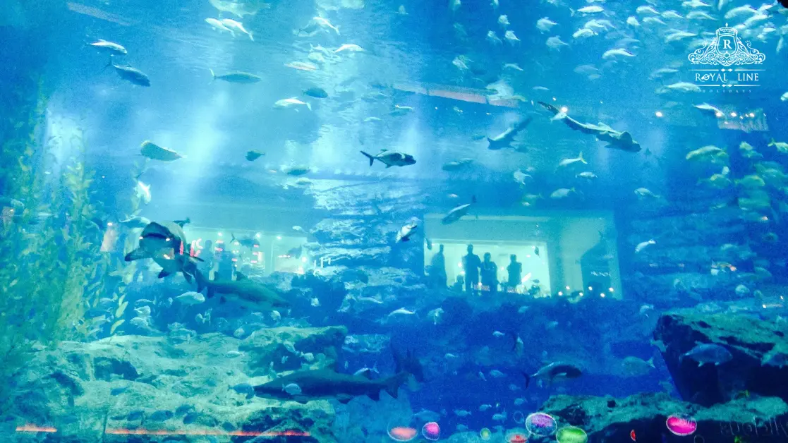 5. Dubai Aquarium & Underwater Zoo