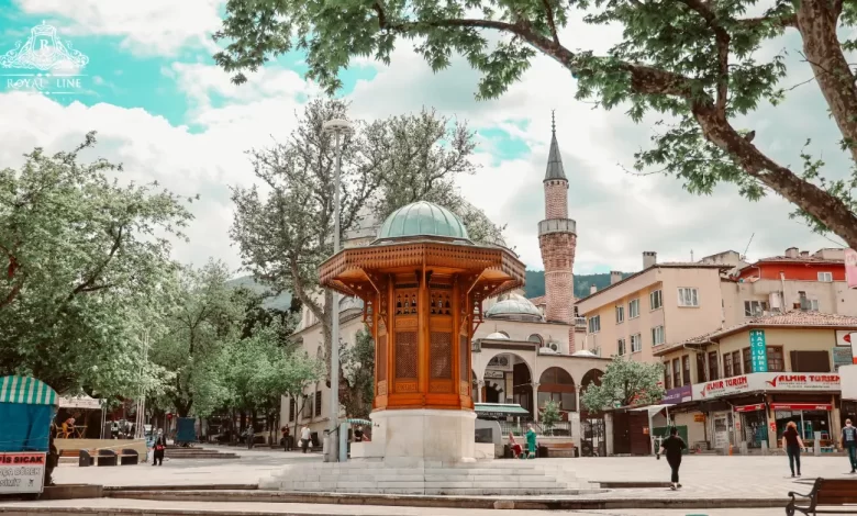 Best Istanbul to Bursa Day Trip for 2025