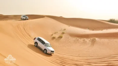 Best Desert Safari Dubai for 2025