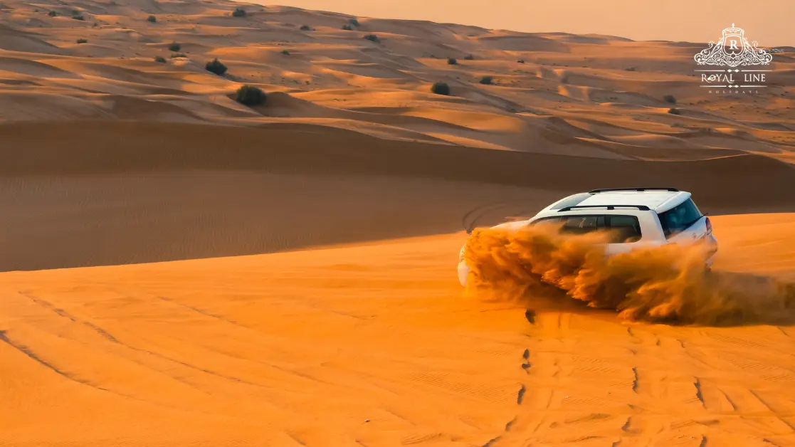 Morning Desert Safari with Royal Line Holidays: What to Expect