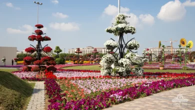 Best Miracle Garden Dubai Tours with Ticket Prices