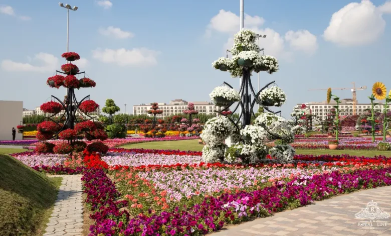 Best Miracle Garden Dubai Tours with Ticket Prices
