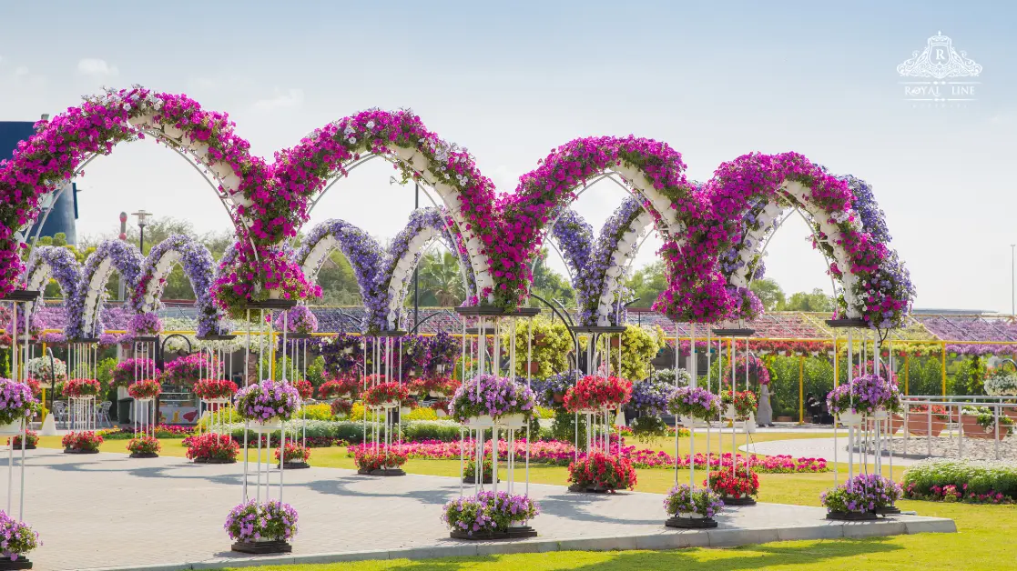 Why Dubai Miracle Garden Belongs on Your Itinerary