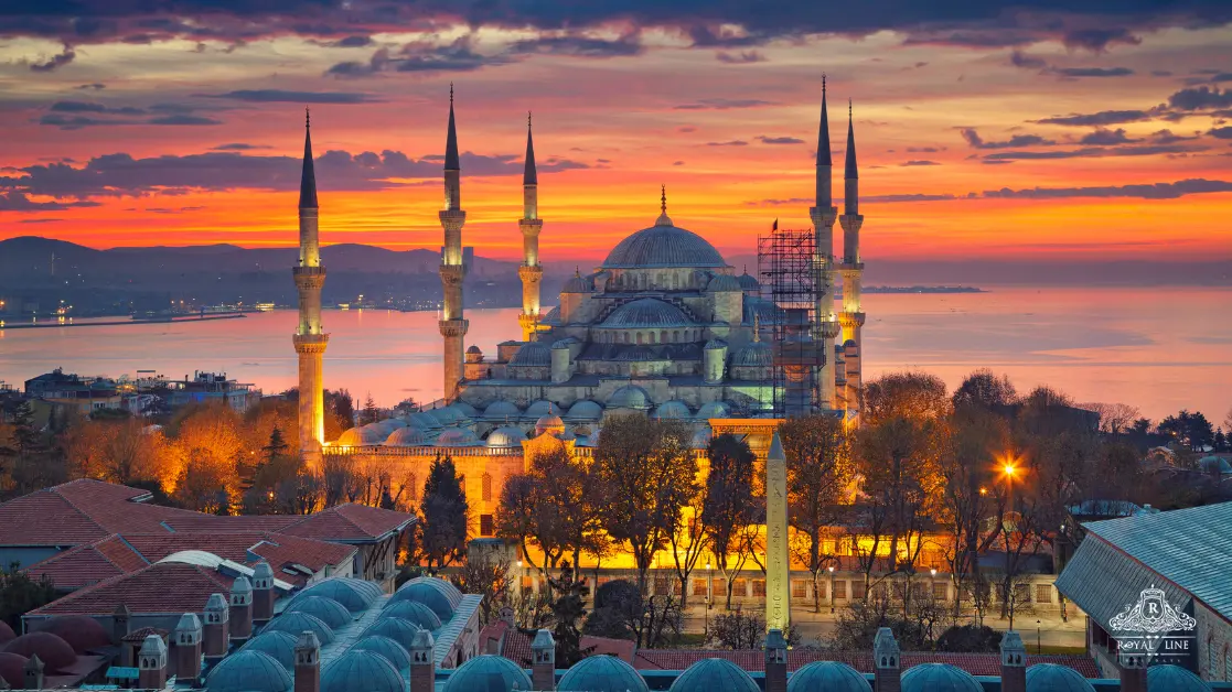 How to use this guide