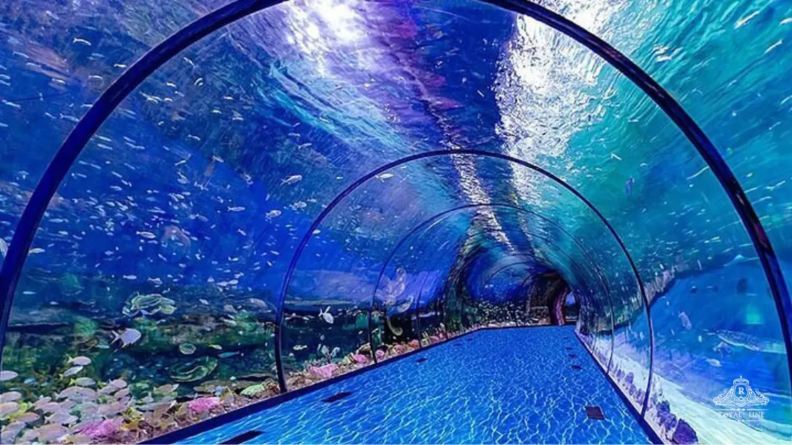 Why the National Aquarium Abu Dhabi Stands Out