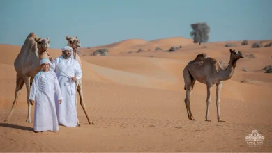 Best Desert Safari Abu Dhabi: Tickets & Prices