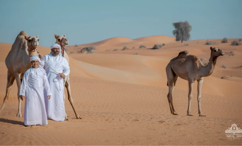 Best Desert Safari Abu Dhabi: Tickets & Prices