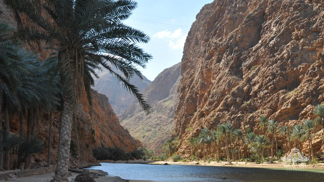 At a Glance: Operations, Availability, and Policies