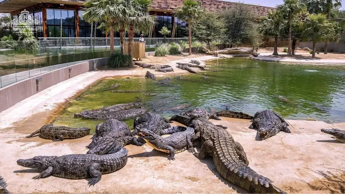 What Makes Dubai Crocodile Park Exceptional