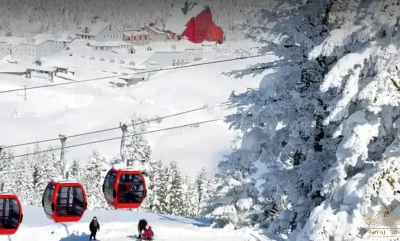 Best Bursa and Uludag Day Tour with Cable Car From Istanbul for 2026