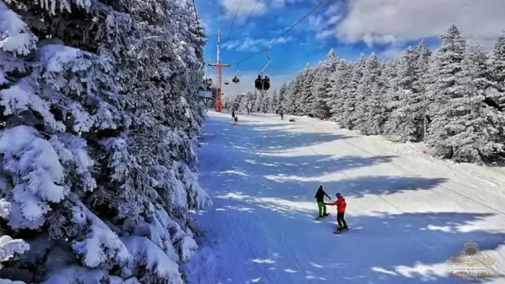 Best Bursa and Uludag Day Tour with Cable Car