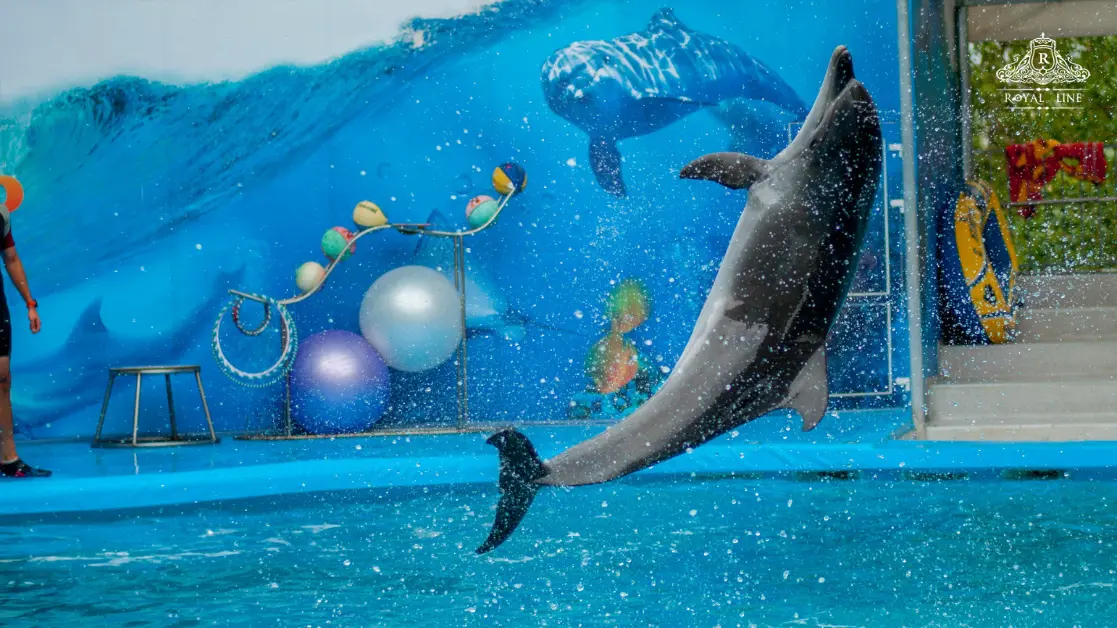 Dolphinarium