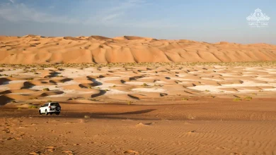 Best Sunrise Desert Safari Abu Dhabi 2026