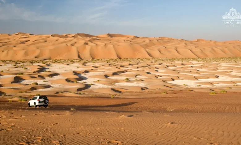 Best Sunrise Desert Safari Abu Dhabi 2026