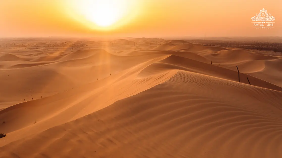 Best Sunrise Desert Safari Abu Dhabi 2026