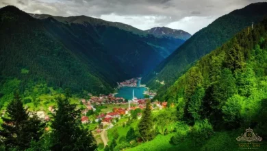 Best Time to Visit Uzungol