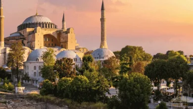 Royal Line Holidays Became a Leading Travel Company