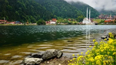 Uzungol Tour Private Complete Travel Guide for First-Time Visitors