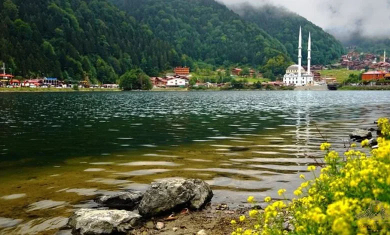 Uzungol Tour Private Complete Travel Guide for First-Time Visitors