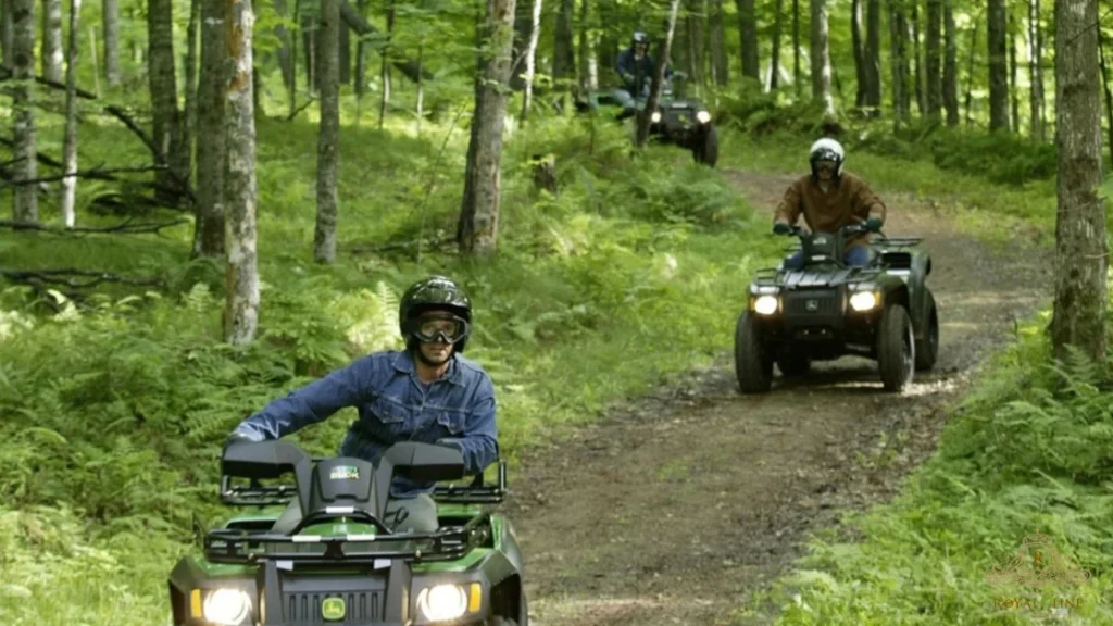 Quad Bike Safari Tours